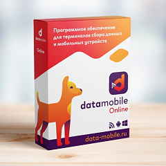 DataMobile, версия Online в Нижнем Тагиле